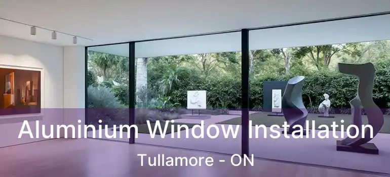  Aluminium Window Installation Tullamore - ON