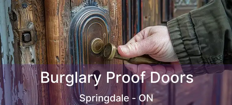  Burglary Proof Doors Springdale - ON
