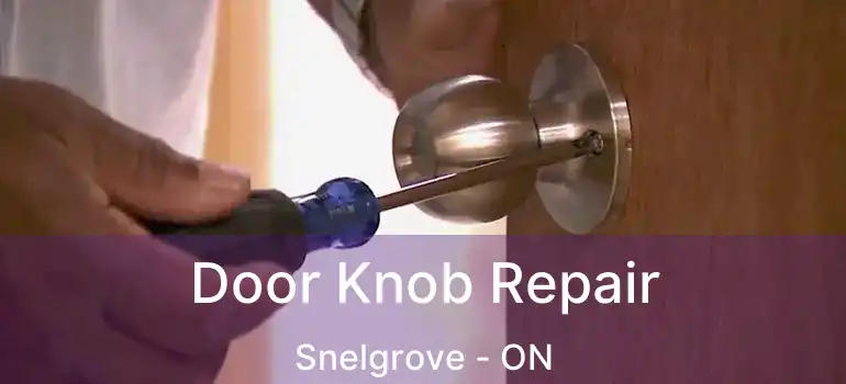 Door Knob Repair Snelgrove - ON