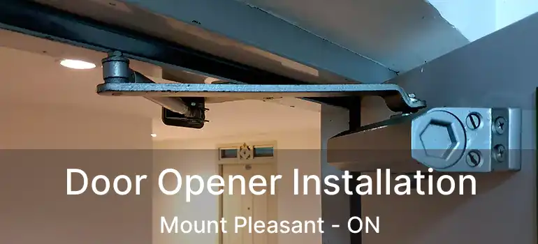  Door Opener Installation Mount Pleasant - ON