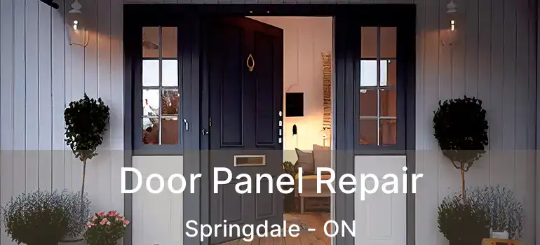 Door Panel Repair Springdale - ON