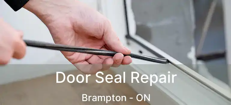  Door Seal Repair Brampton - ON