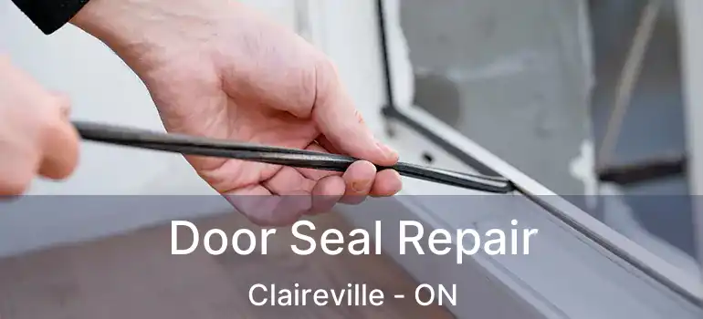  Door Seal Repair Claireville - ON