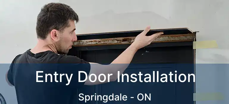  Entry Door Installation Springdale - ON
