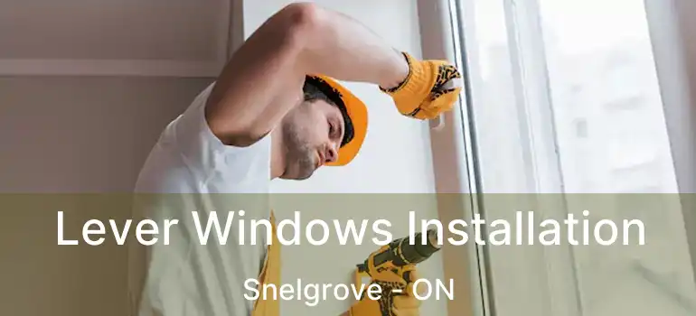  Lever Windows Installation Snelgrove - ON