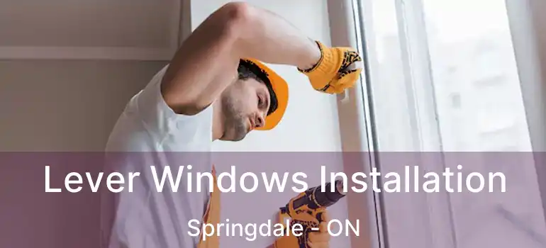  Lever Windows Installation Springdale - ON