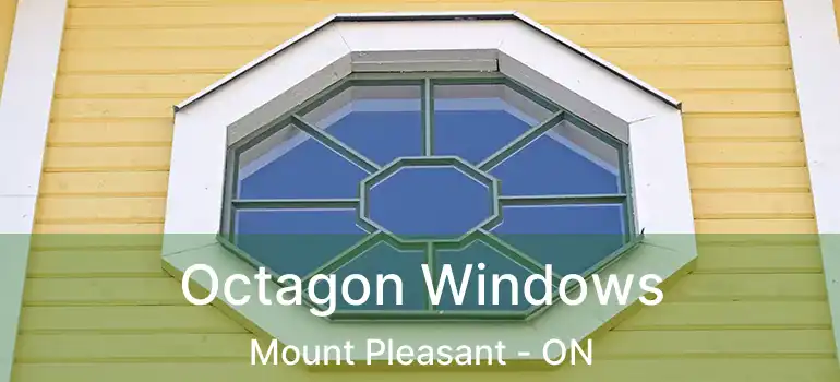  Octagon Windows Mount Pleasant - ON