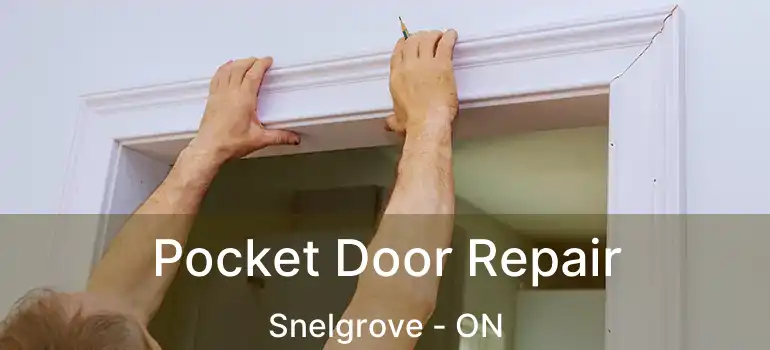  Pocket Door Repair Snelgrove - ON