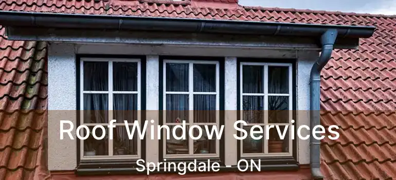  Roof Window Services Springdale - ON