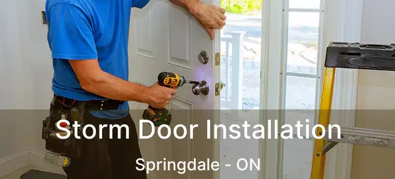  Storm Door Installation Springdale - ON