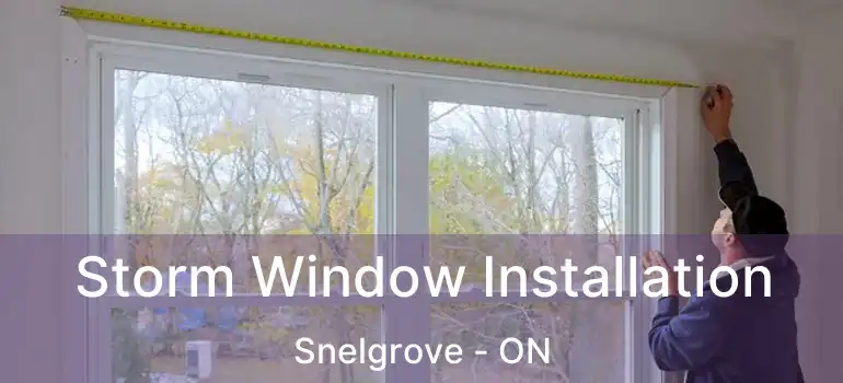  Storm Window Installation Snelgrove - ON