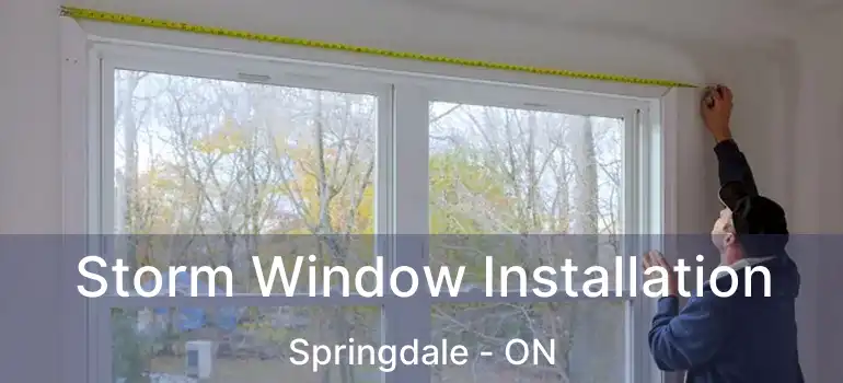  Storm Window Installation Springdale - ON