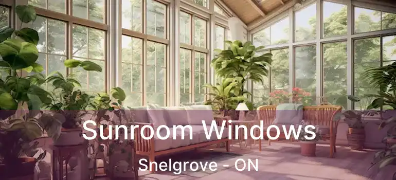  Sunroom Windows Snelgrove - ON