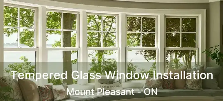  Tempered Glass Window Installation Mount Pleasant - ON