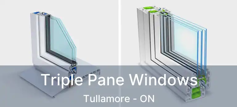  Triple Pane Windows Tullamore - ON