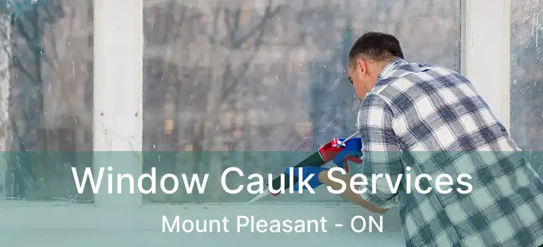  Window Caulk Services Mount Pleasant - ON