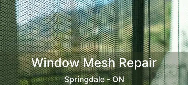  Window Mesh Repair Springdale - ON
