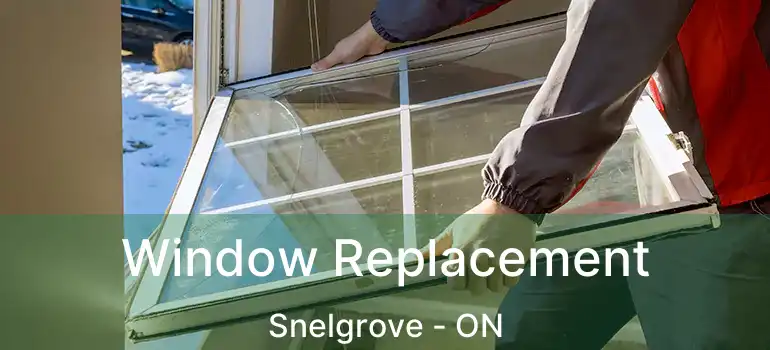  Window Replacement Snelgrove - ON