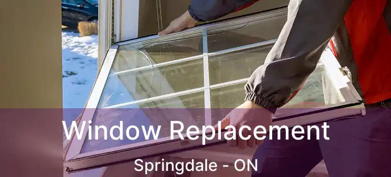  Window Replacement Springdale - ON