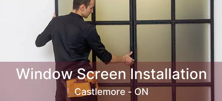 Window Screen Installation Castlemore - ON